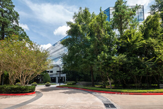 More details for 10055 Grogans Mill Rd, The Woodlands, TX - Office for Rent