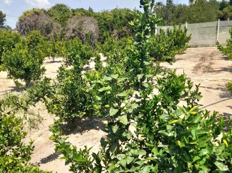 Land in València, Valencia for sale - Building Photo - Image 3 of 8