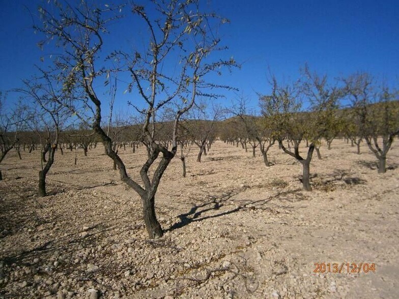Land in MURCIA for sale - Primary Photo - Image 1 of 6