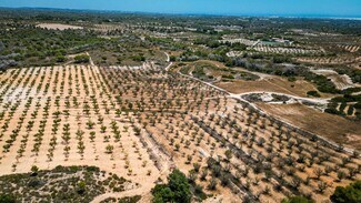 More details for Polígono Pp Zb, 16, Murcia - Land for Sale