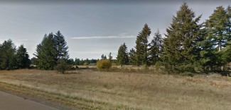 More details for 18402 Jare St SW, Rochester, WA - Land for Sale