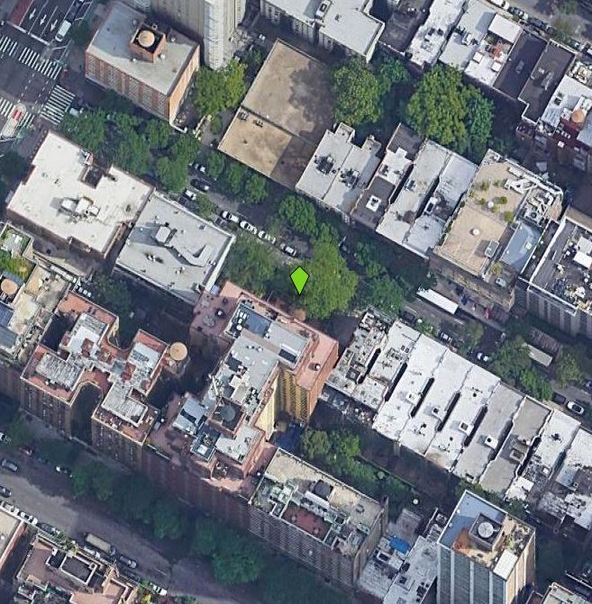 318 E 73rd St, New York, NY to rent Primary Photo- Image 1 of 3