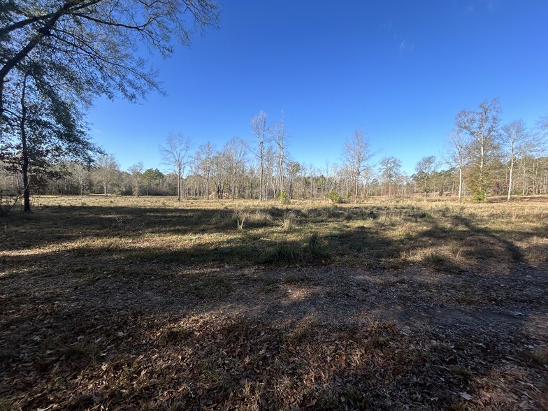 Boy Scout Rd - Section 1, Forest Hill, LA for sale - Other - Image 2 of 3