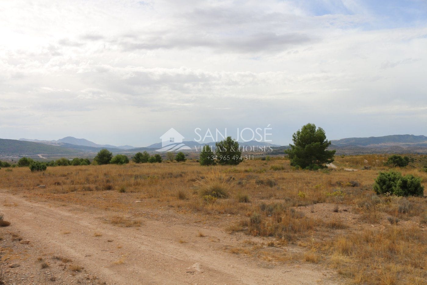 Land in Jumilla, Murcia for sale Primary Photo- Image 1 of 19
