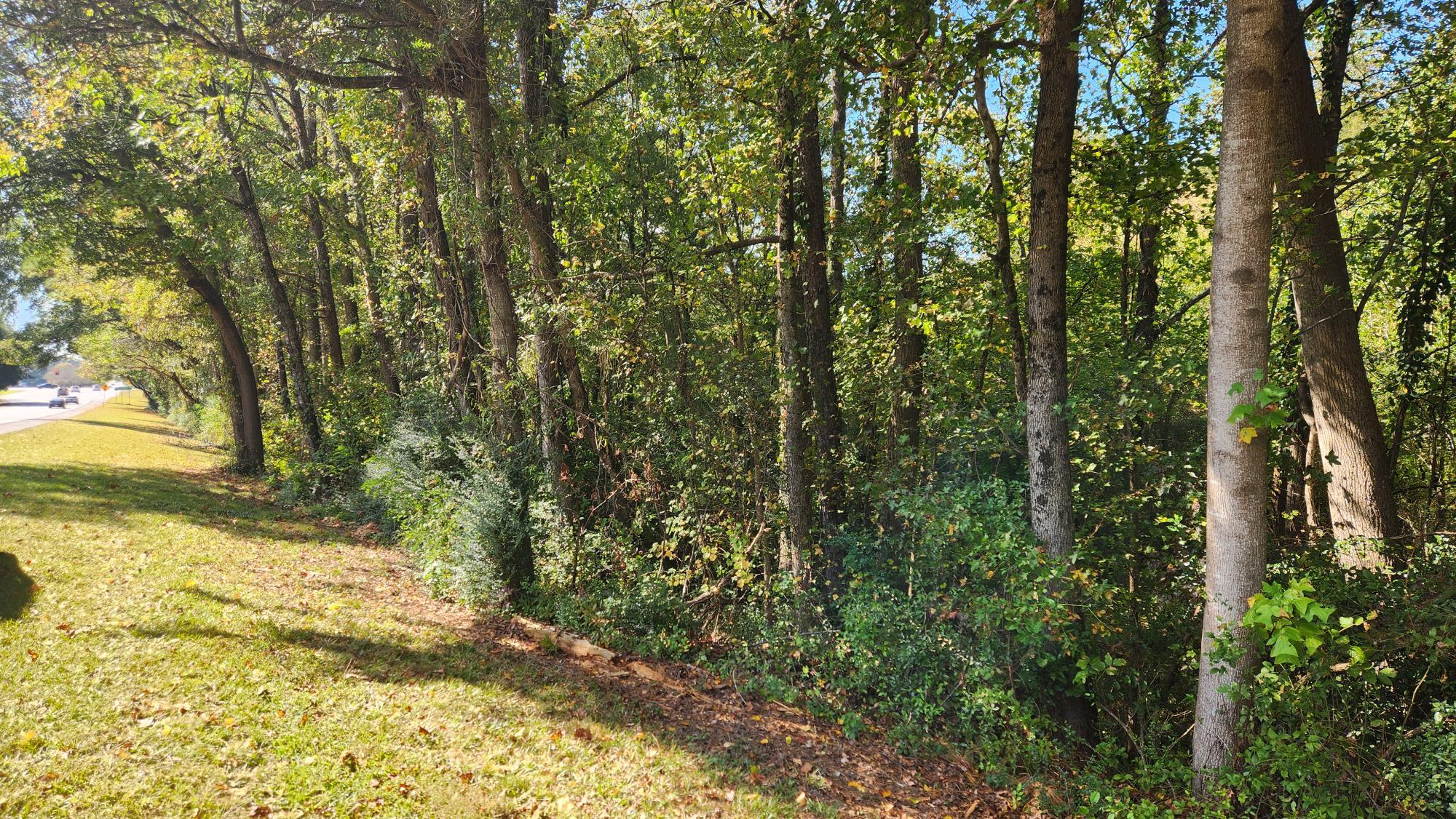 Bullsboro Road Hwy, Newnan, GA for sale Building Photo- Image 1 of 1