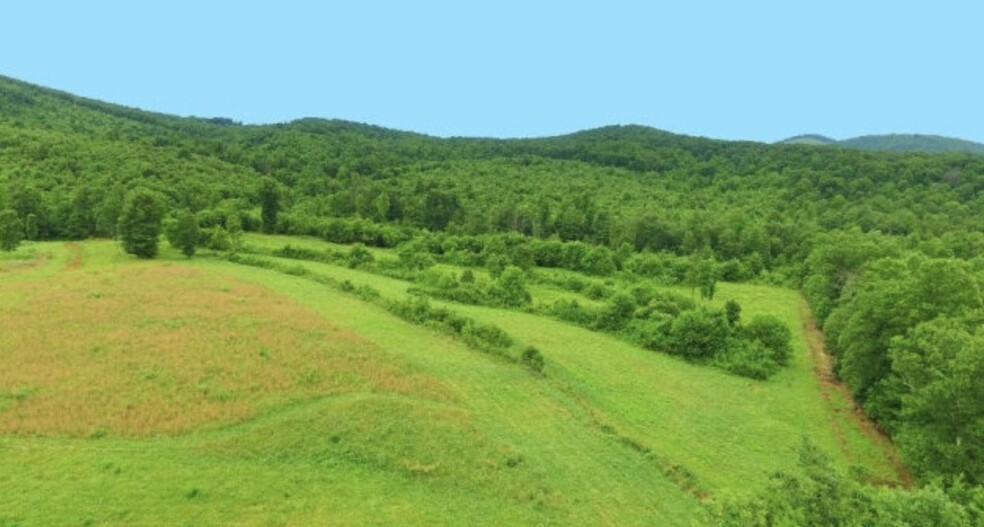 3865 Muddy Fork Rd, Bassett, VA for sale - Primary Photo - Image 1 of 1