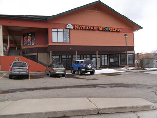 More details for 761 Anemone Trl, Dillon, CO - Retail for Rent