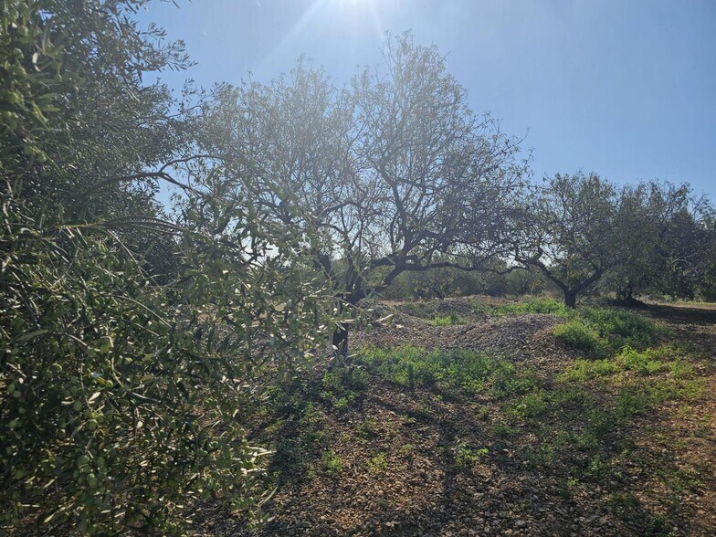 Land in LA RÀPITA, Tarragona for sale - Building Photo - Image 2 of 4