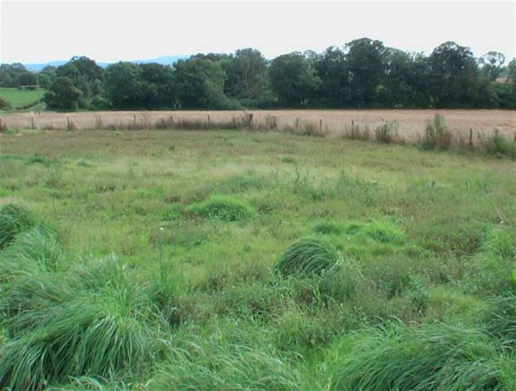 Hassington, Kelso for sale Building Photo- Image 1 of 1