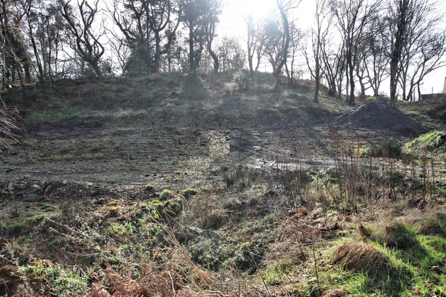 Bracken Wood, Gatehouse Of Fleet for sale - Site Plan - Image 1 of 1