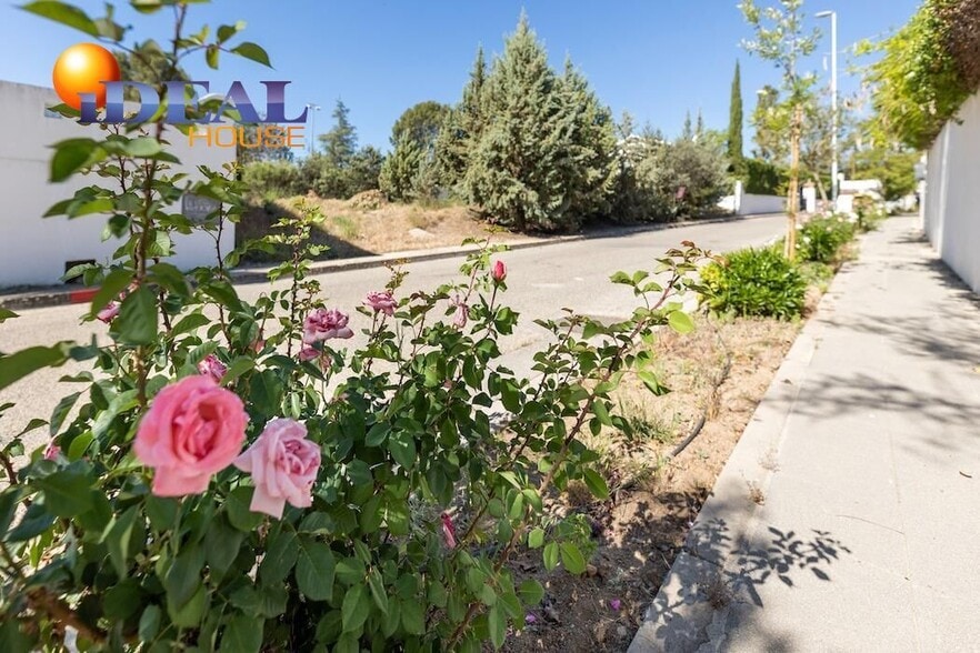 Land in Albolote, Granada for sale - Building Photo - Image 2 of 31