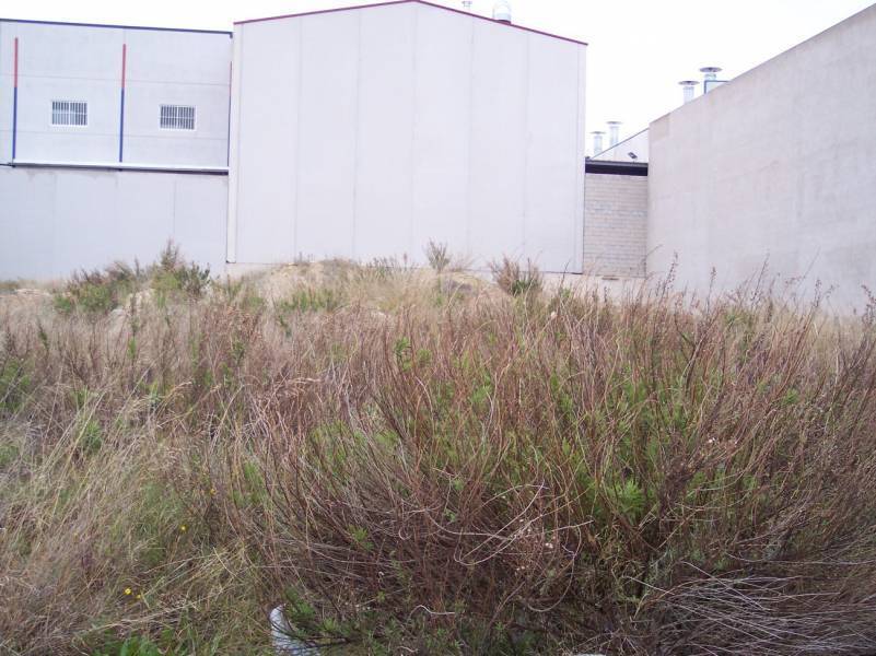 Land in Aspe, Alicante for sale Building Photo- Image 1 of 4