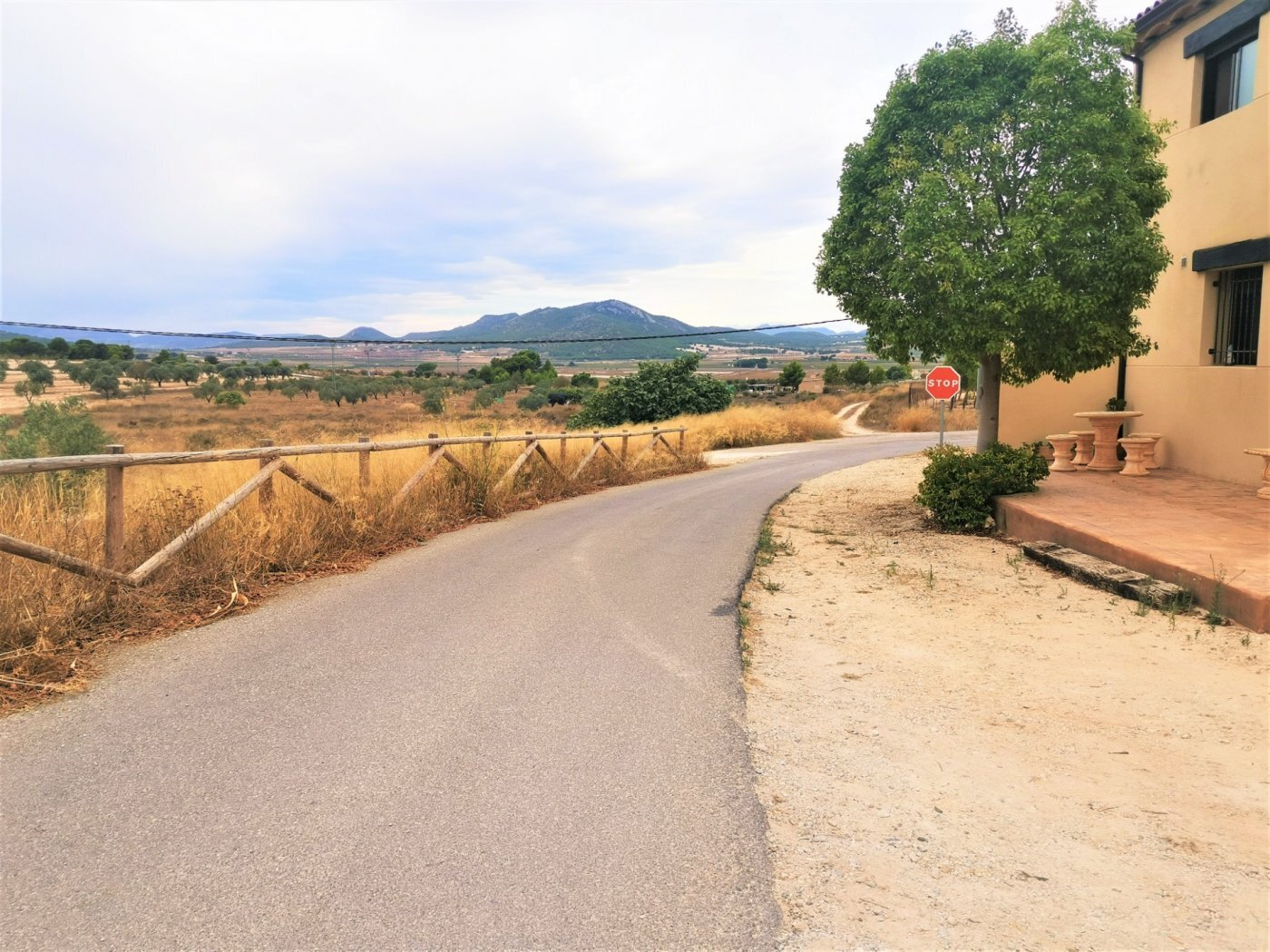 Land in Salinas, Alicante for sale Primary Photo- Image 1 of 6