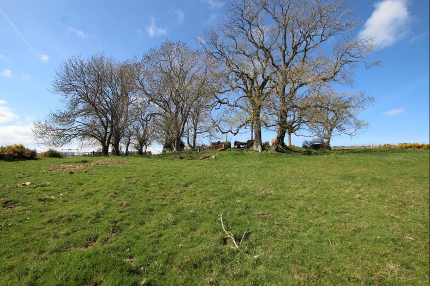 Building Plot at Cotes Cottage, Turriff for sale - Building Photo - Image 1 of 1