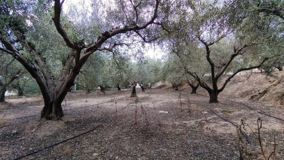 Land in Calasparra for sale - Building Photo - Image 3 of 16