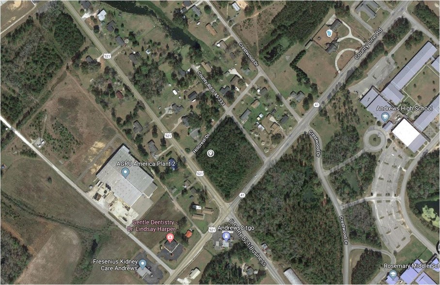 Highway 521, Andrews, SC for sale - Other - Image 1 of 1