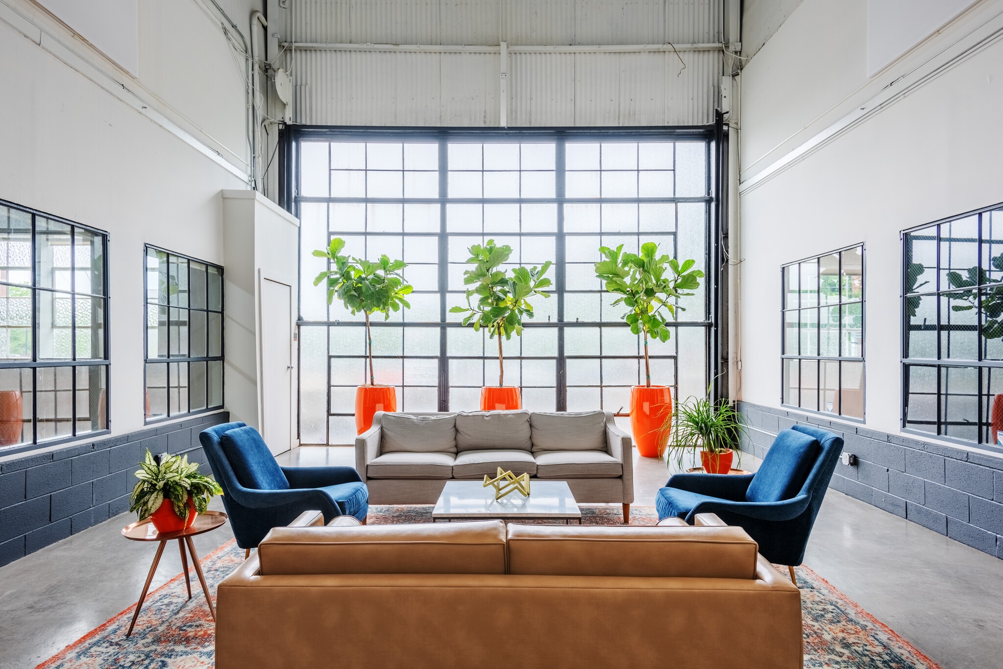 619 S Cedar St, Charlotte, NC to rent Building Photo- Image 1 of 8