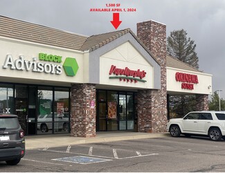 More details for 9227-9231 E Lincoln Ave, Lone Tree, CO - Office, Retail for Rent