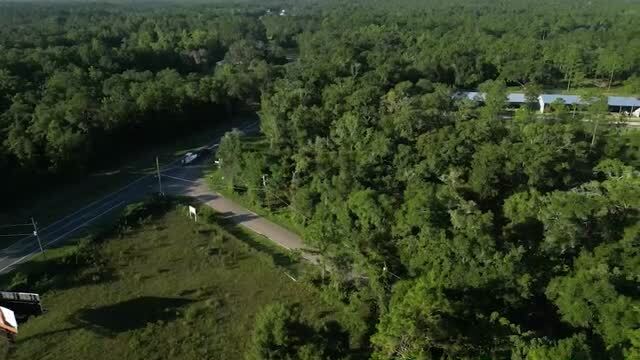 605 Floyd Gray Rd, Crawfordville, FL for sale - Commercial Listing Video - Image 1 of 7