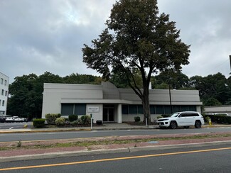 More details for 160 Great Neck Rd, Great Neck, NY - Office/Medical for Rent