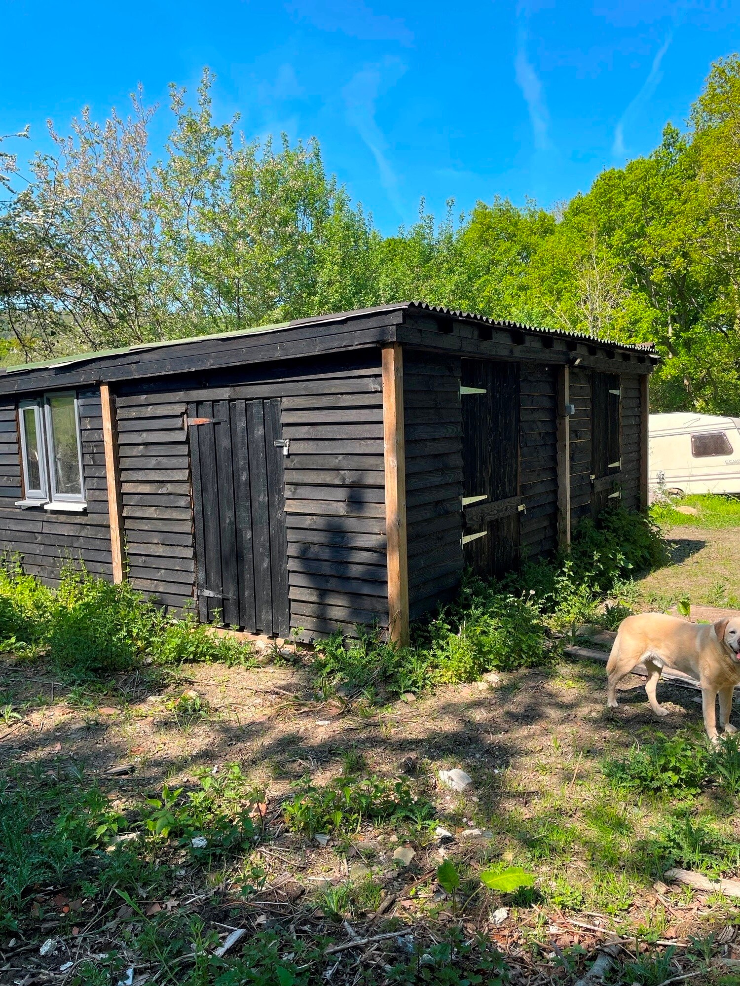 Lythe Lane Stroud, Petersfield to rent Primary Photo- Image 1 of 6