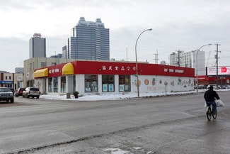 More details for Hiep Thanh Retail Building – Retail for Sale, Edmonton, AB