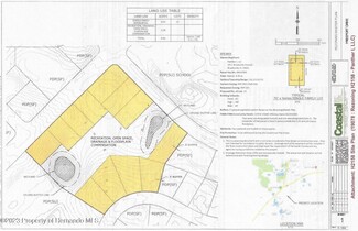 More details for 0 Freeport Drive, Spring Hill, FL - Land for Sale