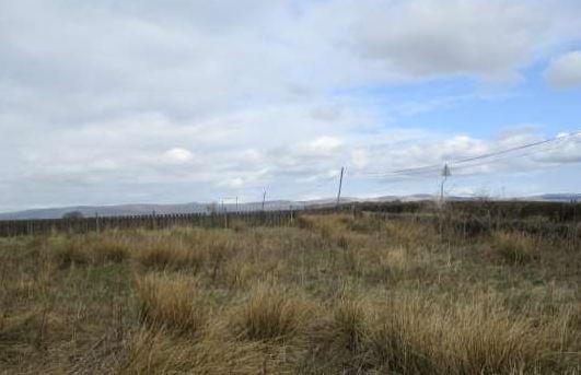 Mollinsburn Rd, Coatbridge for sale Primary Photo- Image 1 of 1