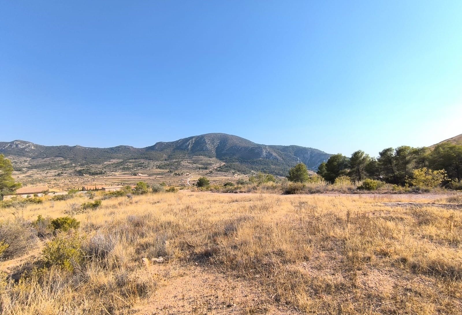 Land in Algueña, Alicante for sale Primary Photo- Image 1 of 5