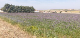 More details for Land to Rent