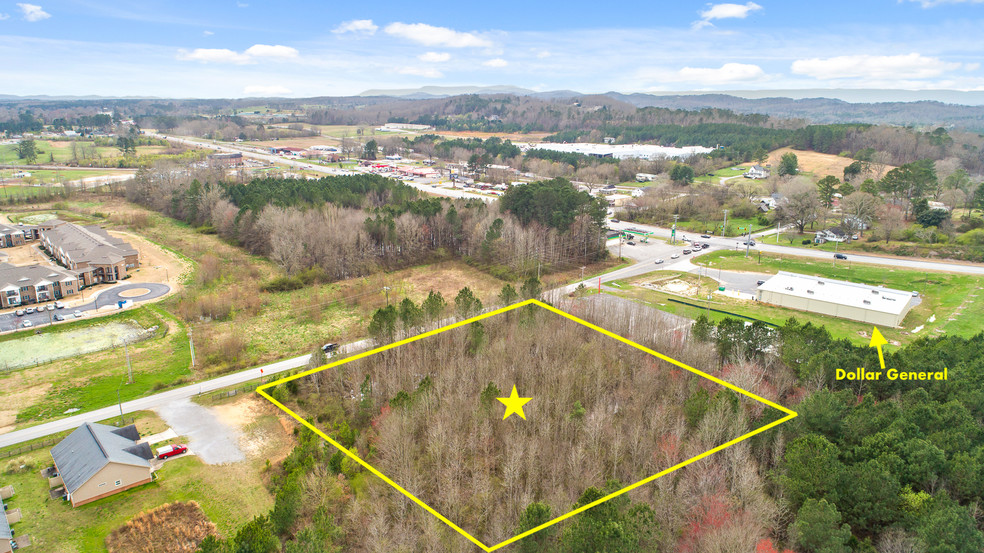 165 Kay Conley Rd, Rock Spring, GA for sale - Aerial - Image 2 of 9