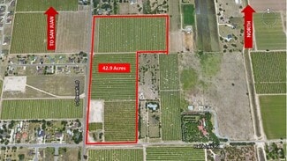More details for 42.90 Acs at NE Corner of S. Stewart & Hall Acres, San Juan, TX - Land for Sale