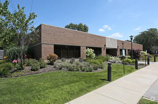 More details for 1250 N Mill St, Naperville, IL - Office/Medical for Rent