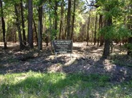 Woodville Hwy, Wakulla Springs, FL for sale - Primary Photo - Image 1 of 1