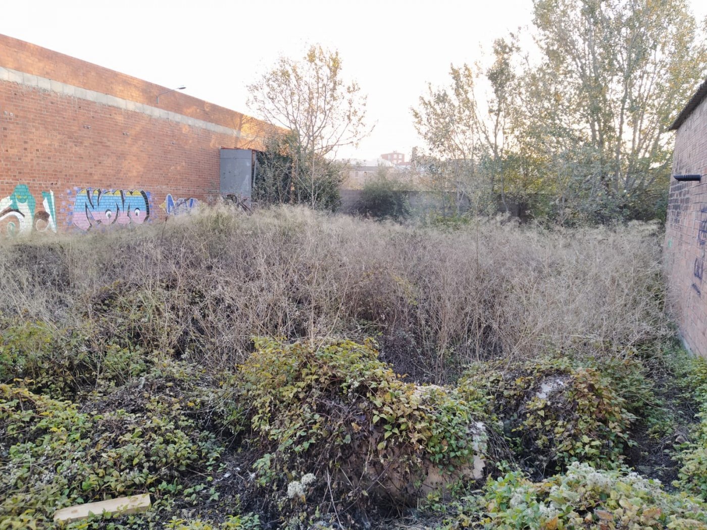 Land in Igualada, Barcelona to rent Other- Image 1 of 4