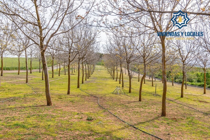 Land in Padul, Granada for sale - Building Photo - Image 2 of 50