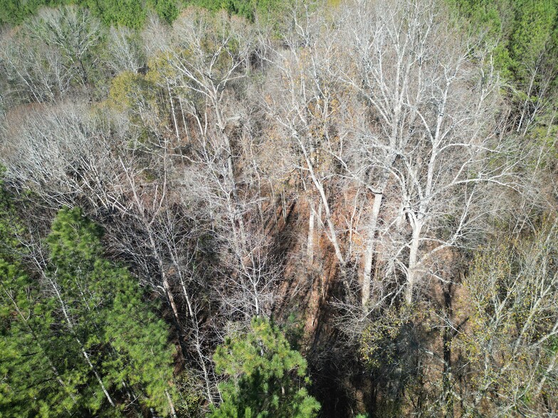 1100 Brownsville st, Goodwater, AL for sale - Aerial - Image 2 of 8