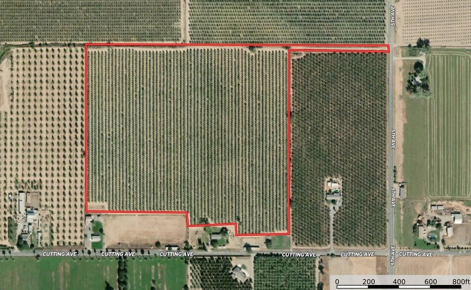 0 Cutting, Capay 95607 Almond Orchard UK