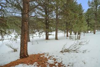 More details for Lot 21A Golf View Terrace, Angel Fire, NM - Land for Sale