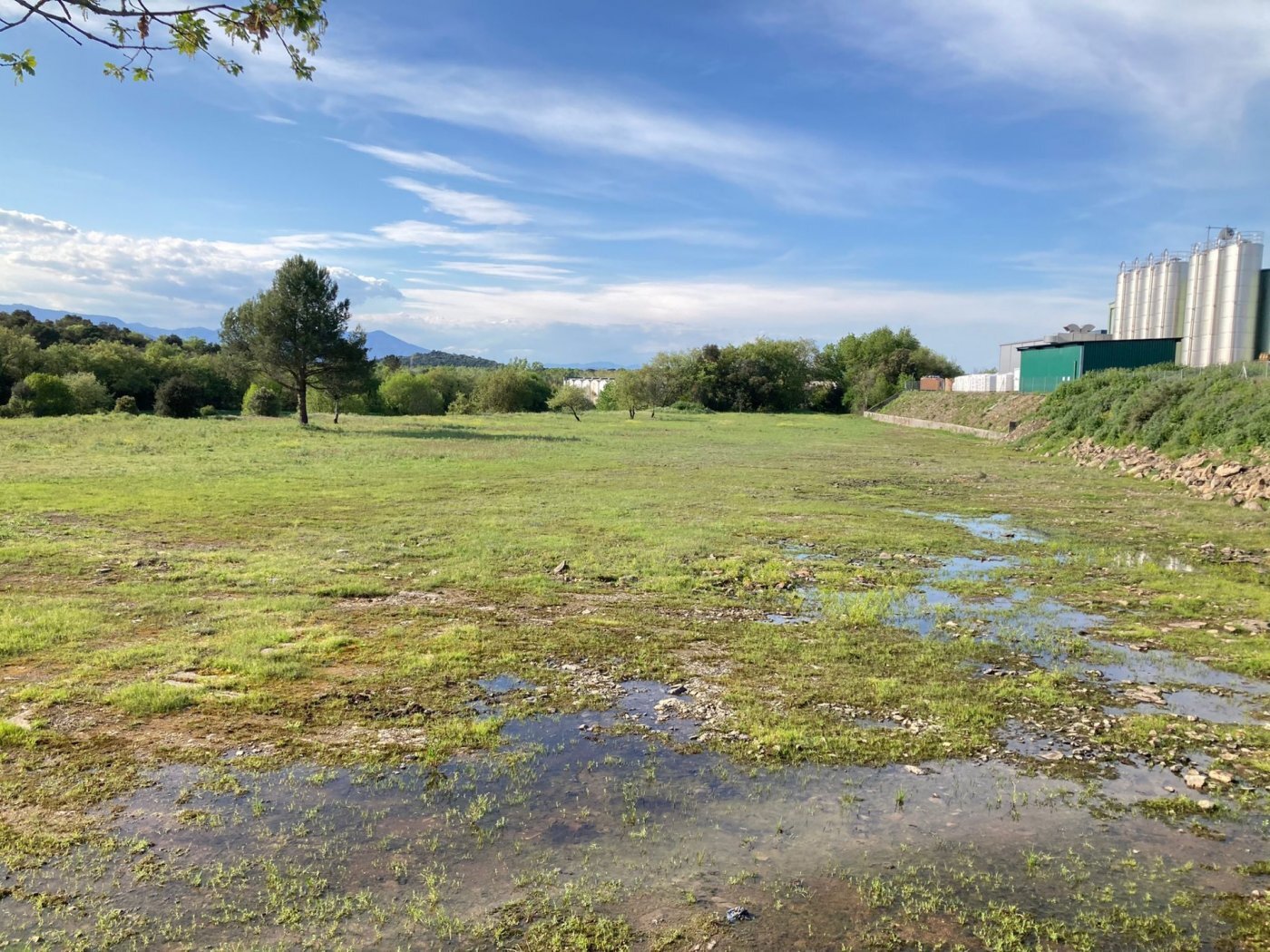 Land in Maçanet de la Selva, Gerona to rent Other- Image 1 of 10