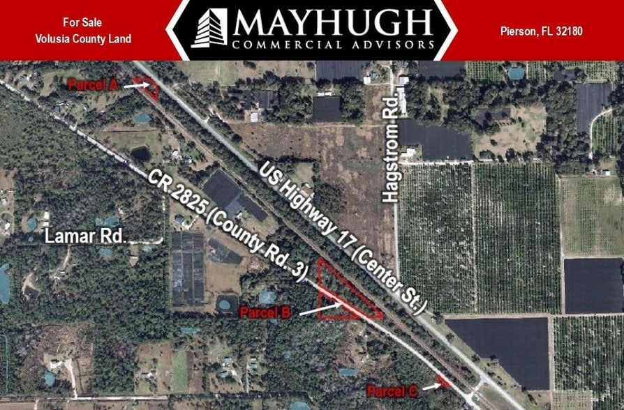S County Rd 3, Pierson, FL for sale - Primary Photo - Image 1 of 1