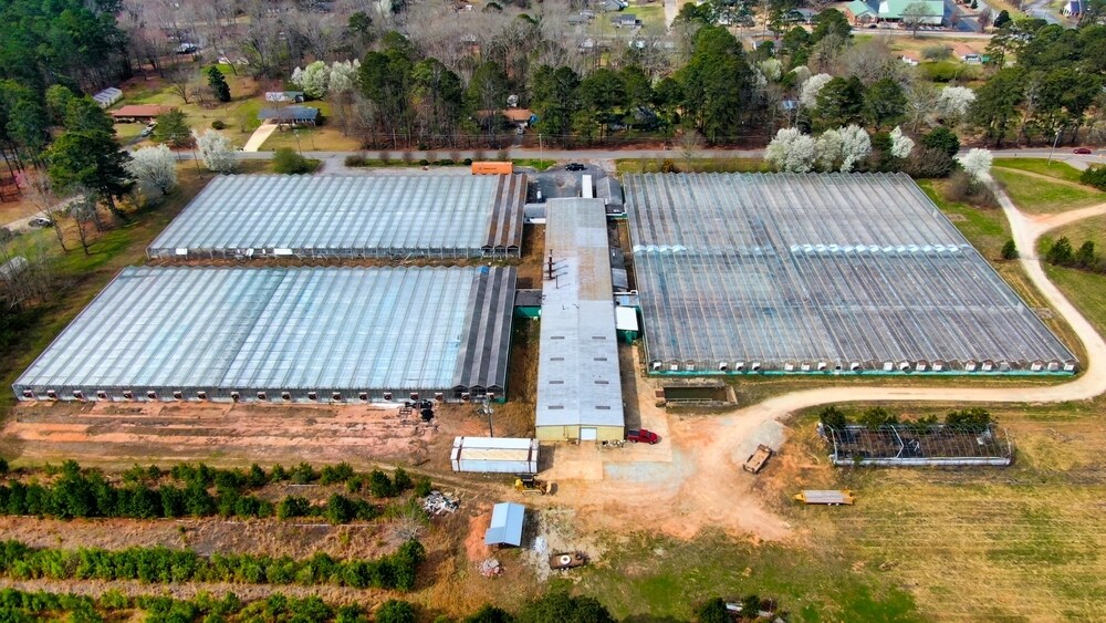 384 Rosser Rd, Mcdonough 30252 UK