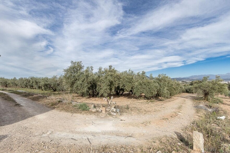 Pago de, Albolote, Granada for sale - Aerial - Image 2 of 12