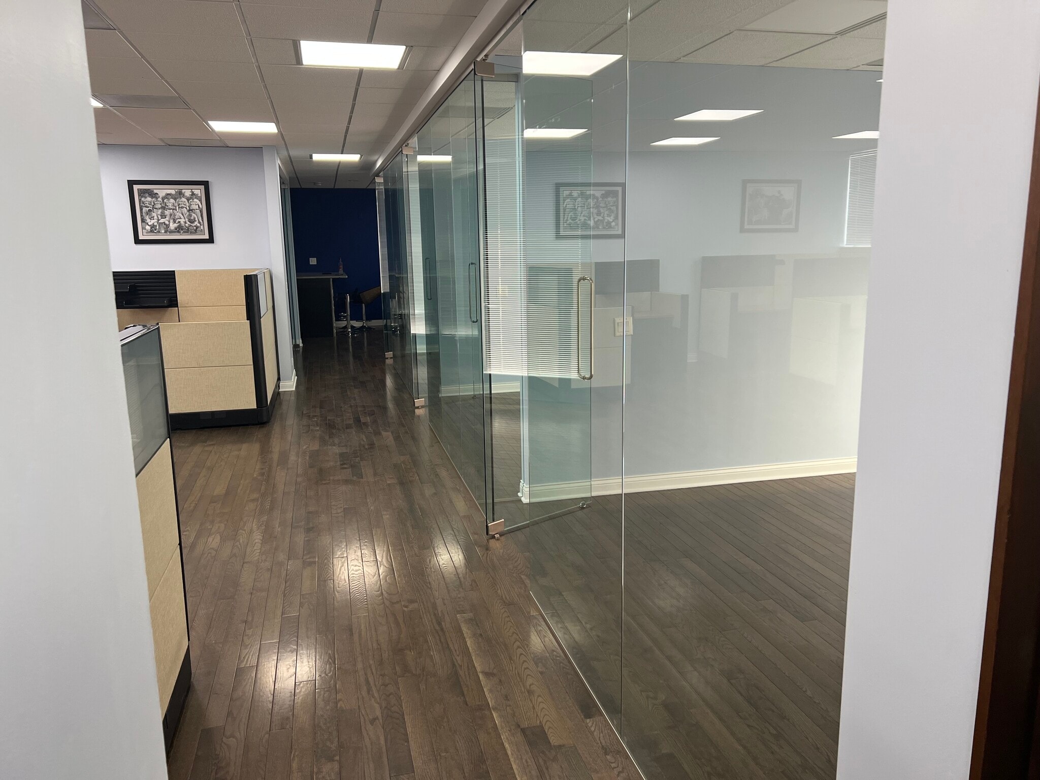 710 Higgins Rd, Park Ridge, IL to rent Interior Photo- Image 1 of 10