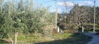 More details for Camí del Llombo, S/N, Ontinyent - Land for Sale