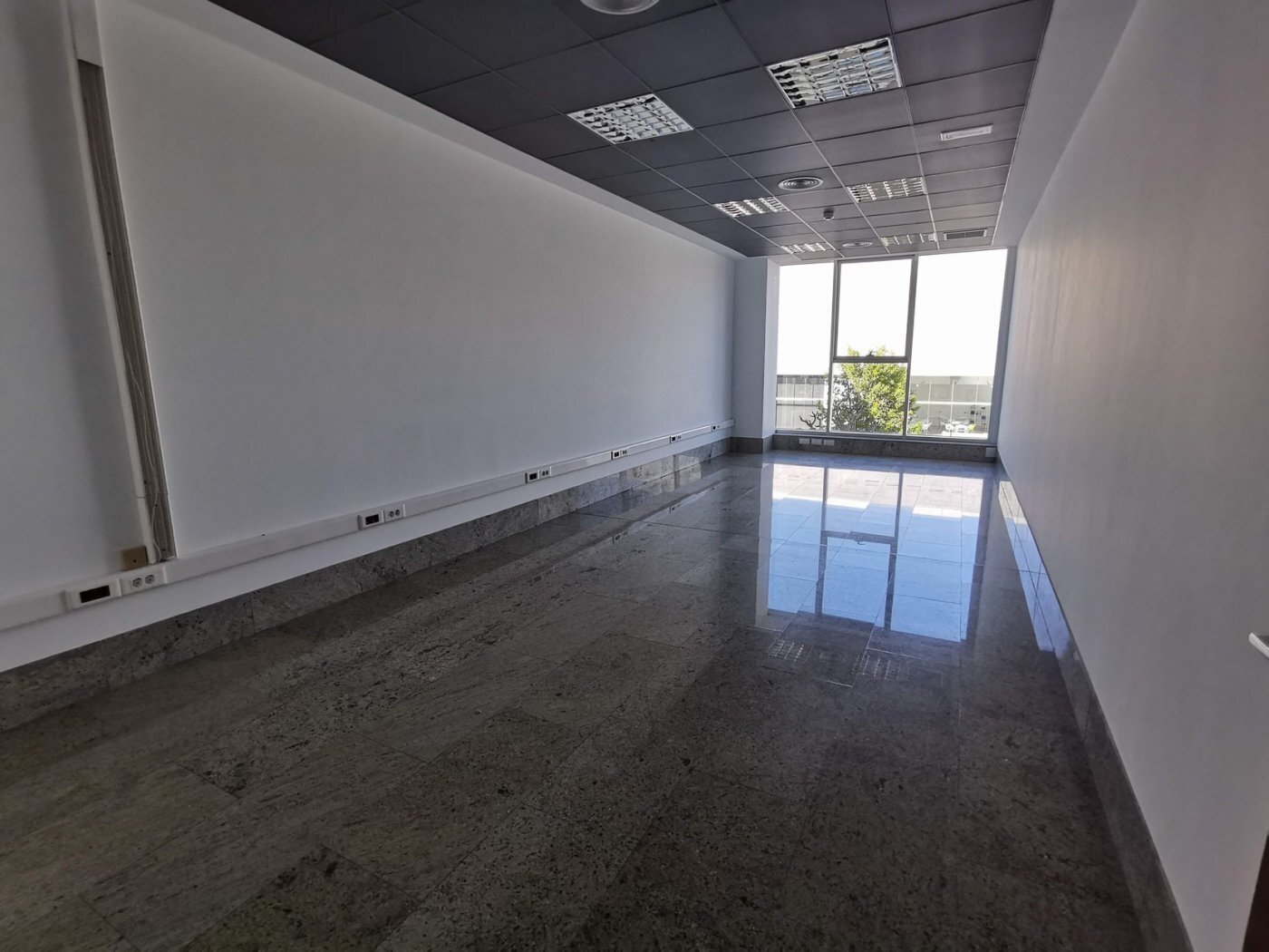 Office in Elche, Alicante to rent Building Photo- Image 1 of 23