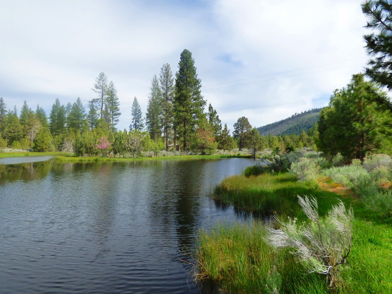 19031 Old State Hwy, Macdoel, CA for sale - Building Photo - Image 1 of 1