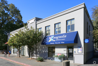 More details for 251-251 Sir Francis Drake Blvd, San Anselmo, CA - Office, Office/Retail for Rent