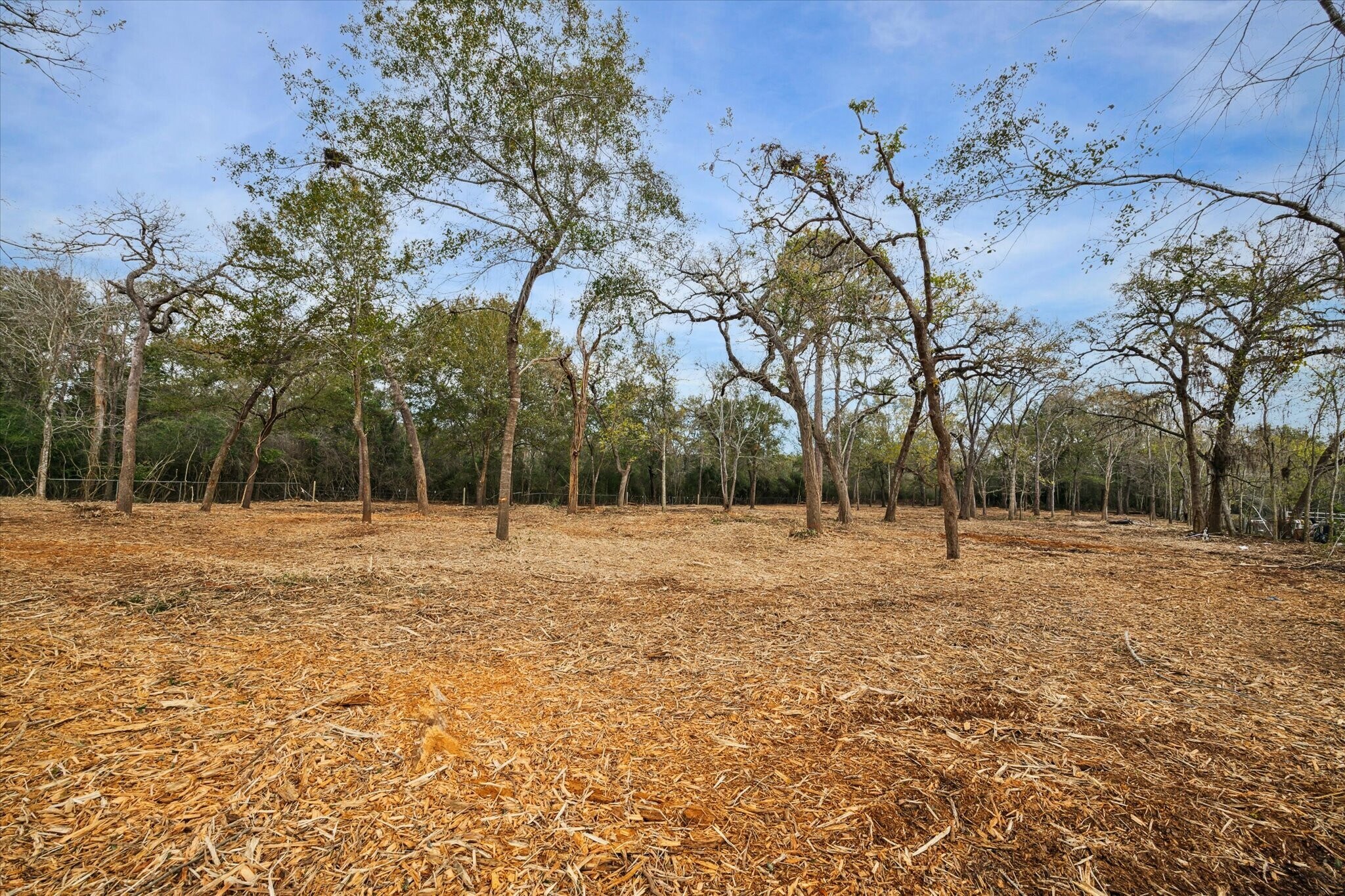 0 Red Oak Dr, Houston, TX for sale Primary Photo- Image 1 of 1