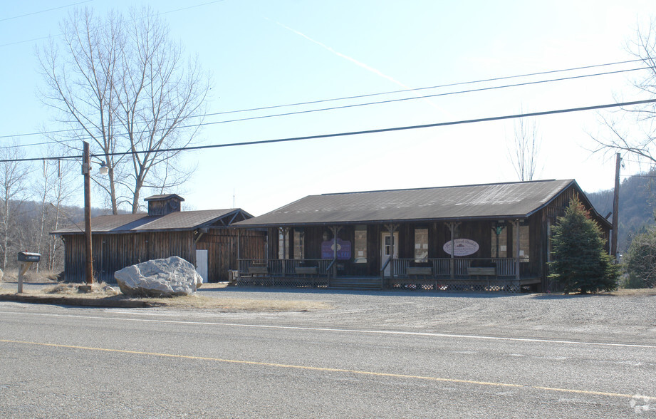 4276 Bloss Mountain Rd, Blossburg, PA for sale - Primary Photo - Image 1 of 1